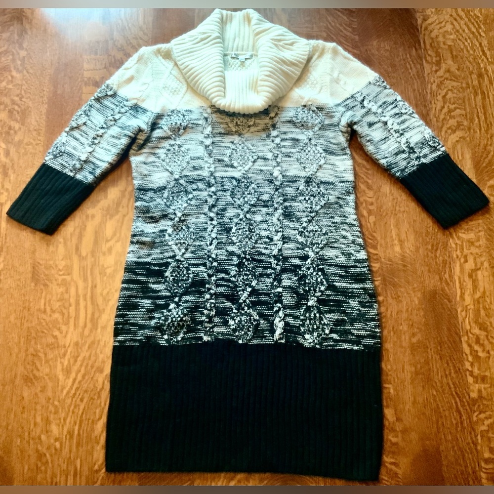 Cozy Cowl-neck Sweater Dress by Sandra Darren, Black and White Winter Fashion